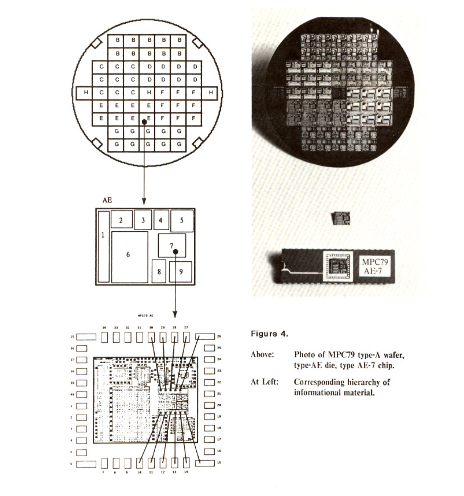 Diagram of a single chip, embedded within a larger layout, on a shared wafer